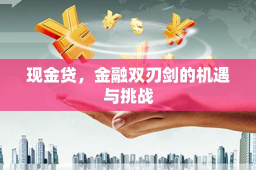 丰原现金贷，金融双刃剑的机遇与挑战