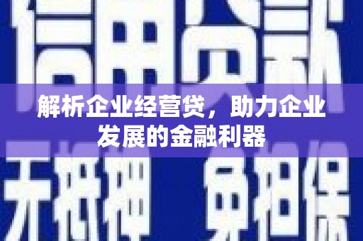 丰原解析企业经营贷，助力企业发展的金融利器