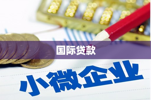 丰原国际贷款