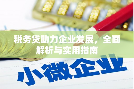 丰原税务贷助力企业发展，全面解析与实用指南