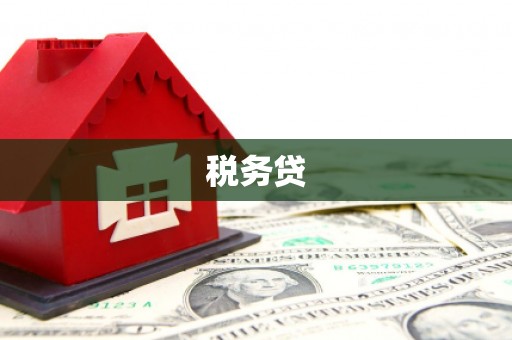 丰原税务贷