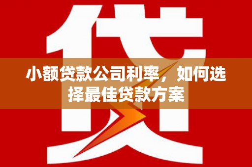 丰原小额贷款公司利率，如何选择最佳贷款方案