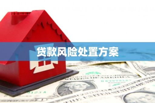 丰原贷款风险处置方案