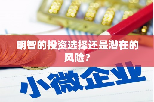 丰原明智的投资选择还是潜在的风险？