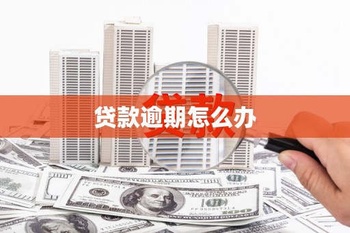 丰原贷款逾期怎么办