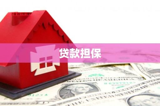 丰原贷款担保