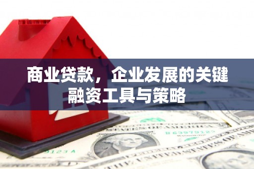 丰原商业贷款，企业发展的关键融资工具与策略