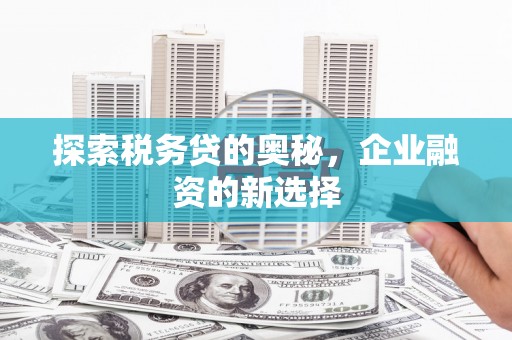 丰原探索税务贷的奥秘，企业融资的新选择