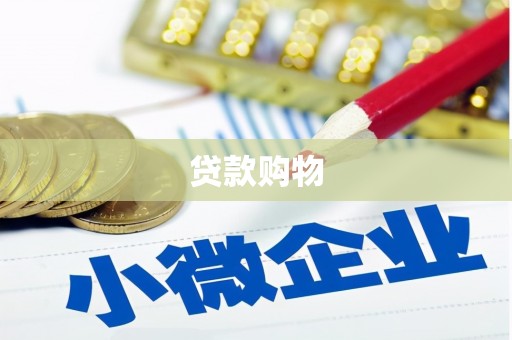 丰原贷款购物