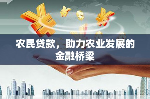 丰原农民贷款，助力农业发展的金融桥梁