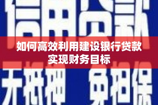 丰原如何高效利用建设银行贷款实现财务目标