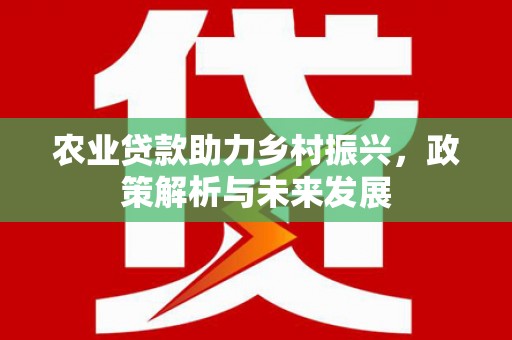丰原农业贷款助力乡村振兴，政策解析与未来发展