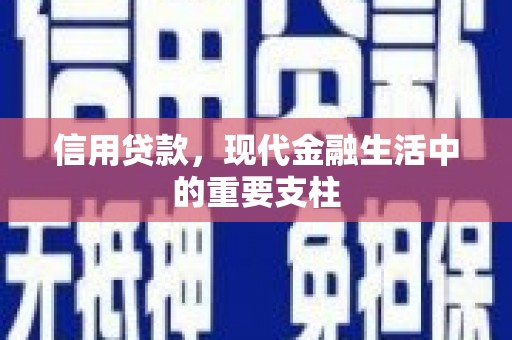 丰原信用贷款，现代金融生活中的重要支柱