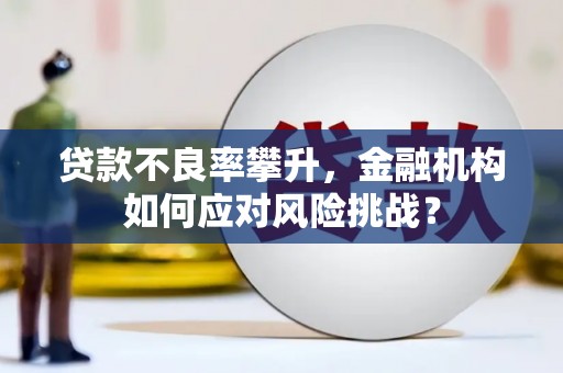 丰原贷款不良率攀升，金融机构如何应对风险挑战？