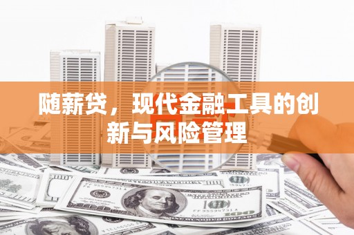 丰原随薪贷，现代金融工具的创新与风险管理