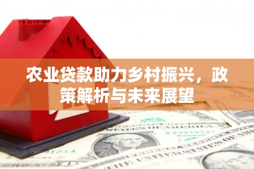 丰原农业贷款助力乡村振兴，政策解析与未来展望