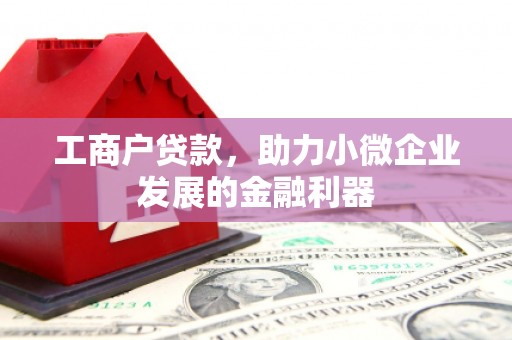 丰原工商户贷款，助力小微企业发展的金融利器