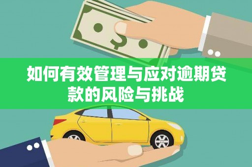 丰原如何有效管理与应对逾期贷款的风险与挑战
