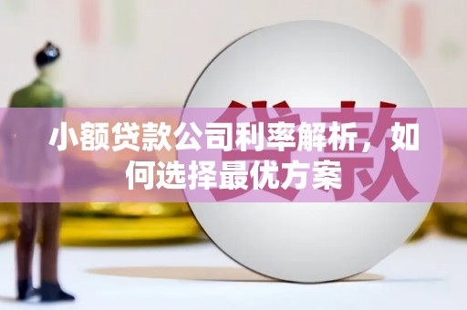 丰原小额贷款公司利率解析，如何选择最优方案