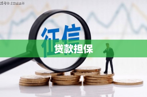 丰原贷款担保