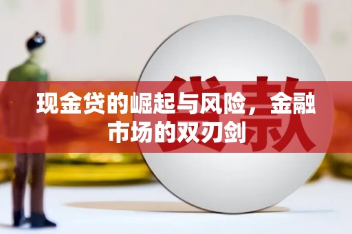 丰原现金贷的崛起与风险，金融市场的双刃剑