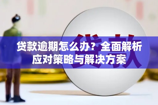 丰原贷款逾期怎么办？全面解析应对策略与解决方案