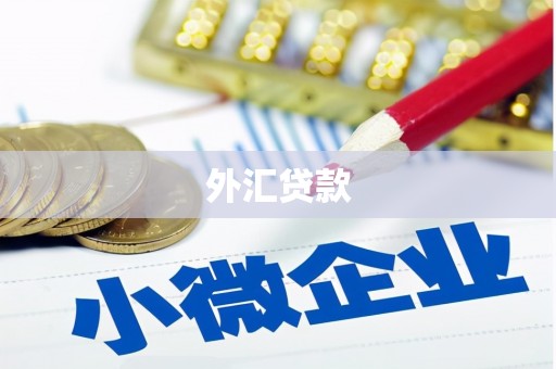 丰原外汇贷款
