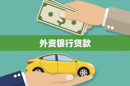 丰原外资银行贷款