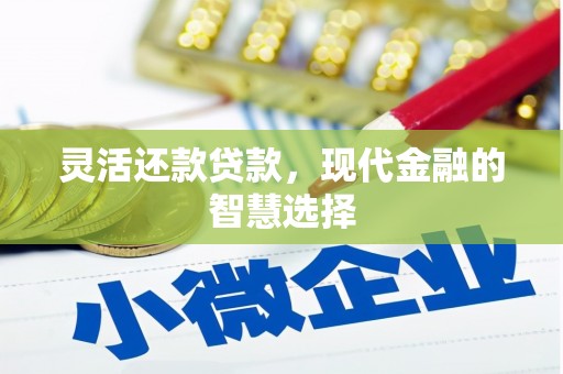 丰原灵活还款贷款，现代金融的智慧选择