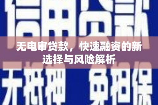 丰原无电审贷款，快速融资的新选择与风险解析