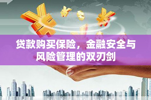 丰原贷款购买保险，金融安全与风险管理的双刃剑