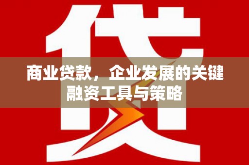 丰原商业贷款，企业发展的关键融资工具与策略