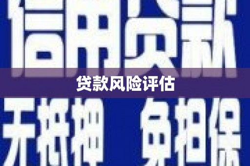 丰原贷款风险评估