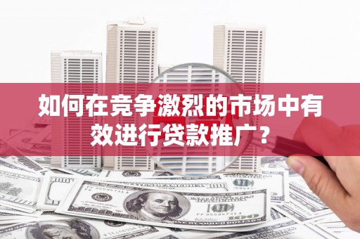 丰原如何在竞争激烈的市场中有效进行贷款推广？