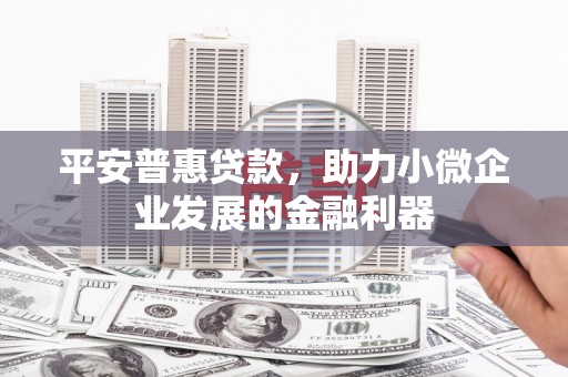 丰原平安普惠贷款，助力小微企业发展的金融利器