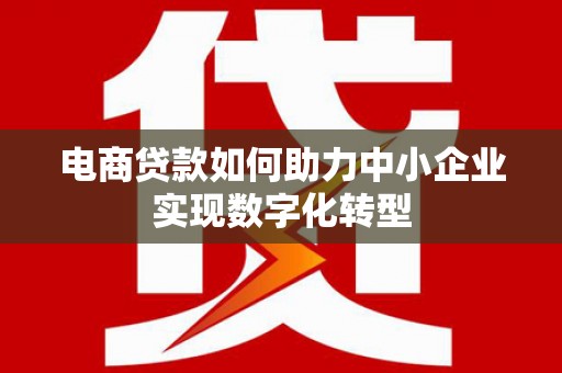 丰原电商贷款如何助力中小企业实现数字化转型