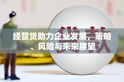 丰原经营贷助力企业发展，策略、风险与未来展望