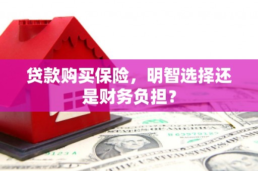 丰原贷款购买保险，明智选择还是财务负担？
