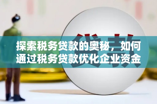 丰原探索税务贷款的奥秘，如何通过税务贷款优化企业资金流