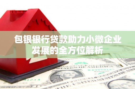 丰原包银银行贷款助力小微企业发展的全方位解析