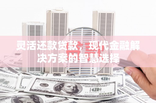 丰原灵活还款贷款，现代金融解决方案的智慧选择
