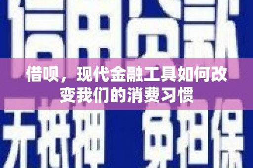 丰原借呗，现代金融工具如何改变我们的消费习惯