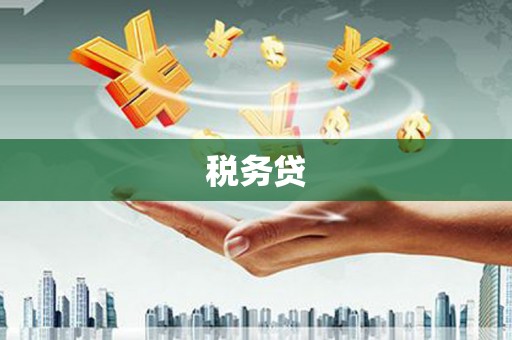 丰原税务贷