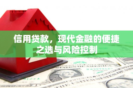 丰原信用贷款，现代金融的便捷之选与风险控制