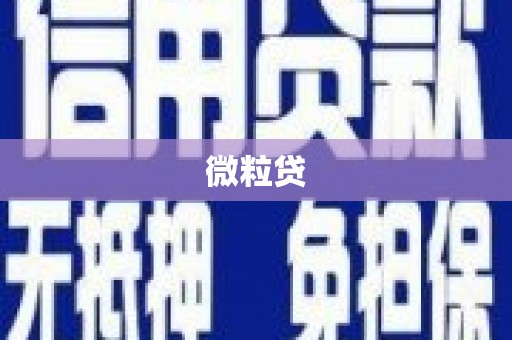 丰原微粒贷