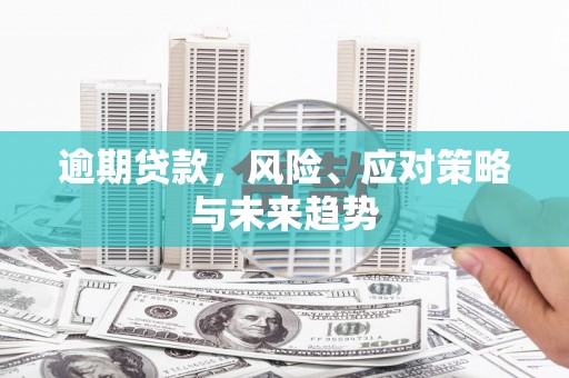 丰原逾期贷款，风险、应对策略与未来趋势