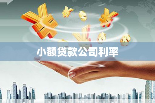 丰原小额贷款公司利率