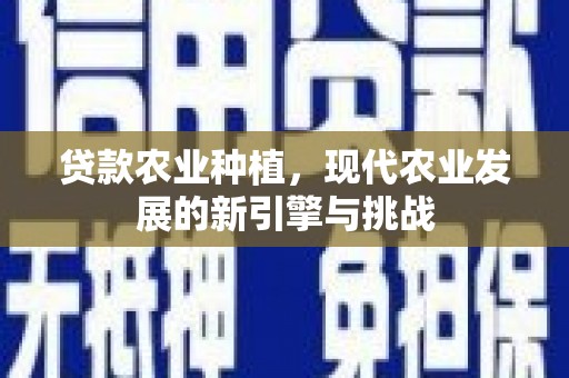 丰原贷款农业种植，现代农业发展的新引擎与挑战