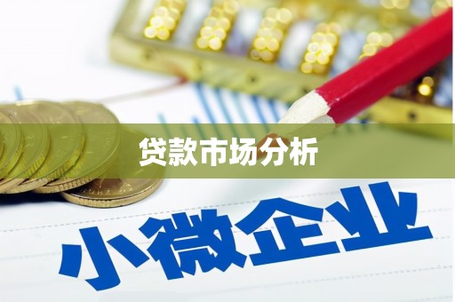 丰原贷款市场分析