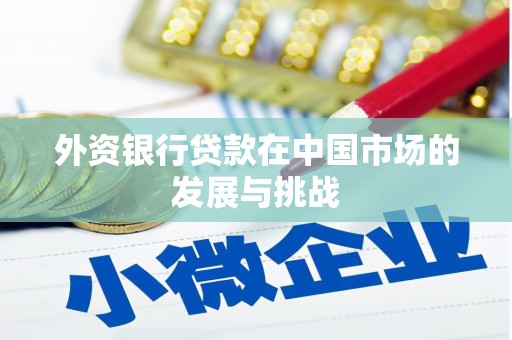 丰原外资银行贷款在中国市场的发展与挑战